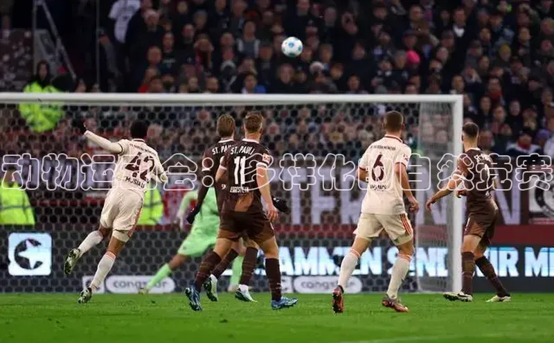 动物运动会：多样化的自然竞赛