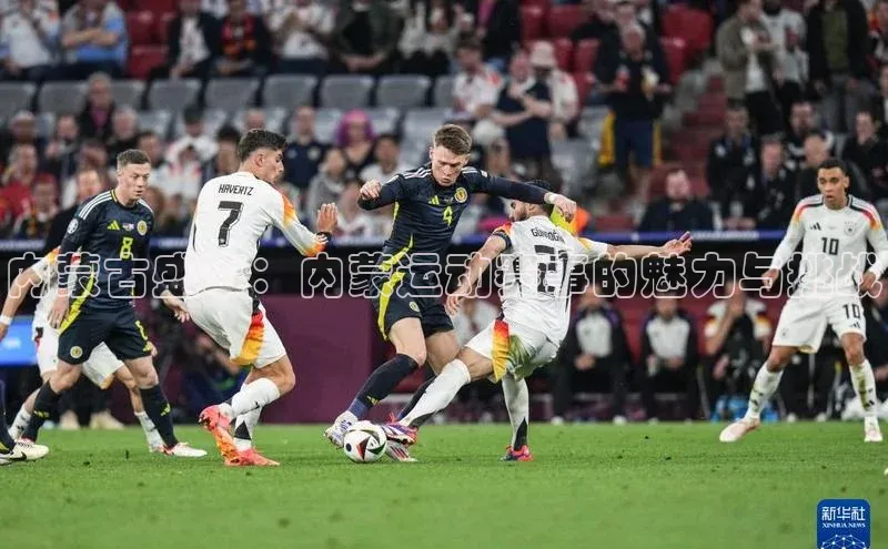 内蒙古盛事：内蒙运动赛事的魅力与挑战