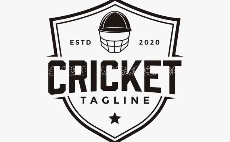 排球运动的全球视野：从世锦赛到奥运会的历史与现状