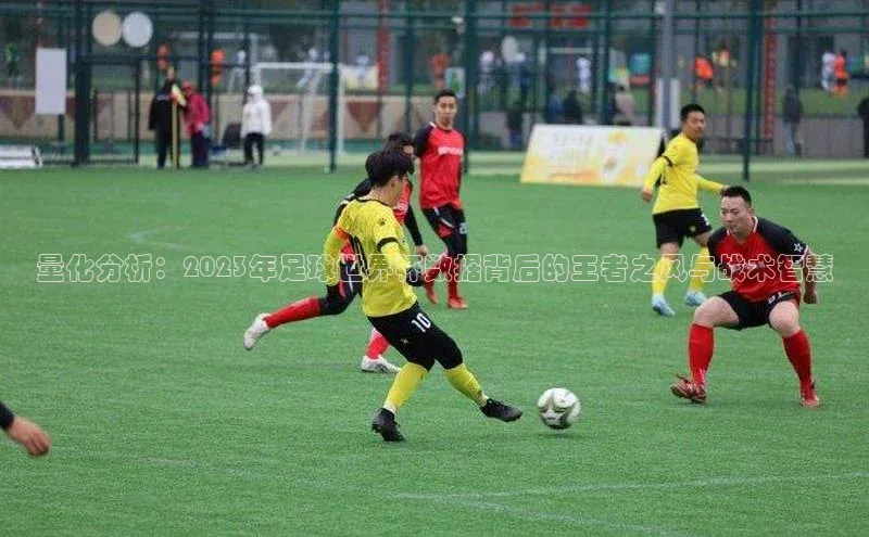 量化分析：2023年足球世界杯数据背后的王者之风与战术智慧