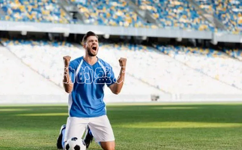 战马运动的盛况：赛事多样性