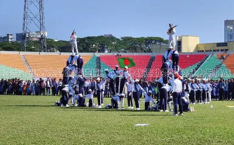 穿越千山万水的激情碰撞：中国野战运动赛事的魅力与挑战
