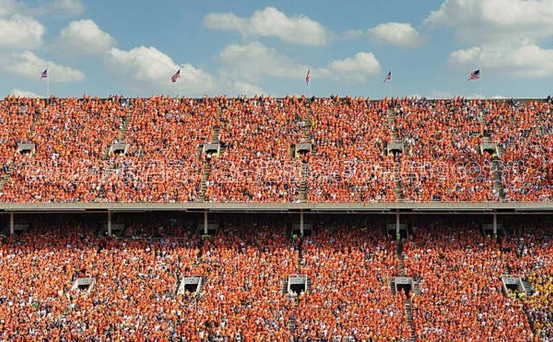 竞技的视觉盛宴：各类运动赛事标志与LOGO设计