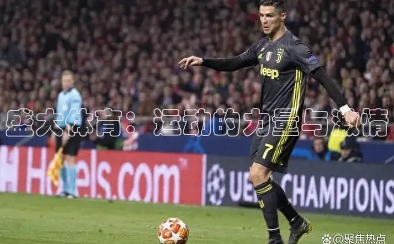 熊猫体育在线直播app