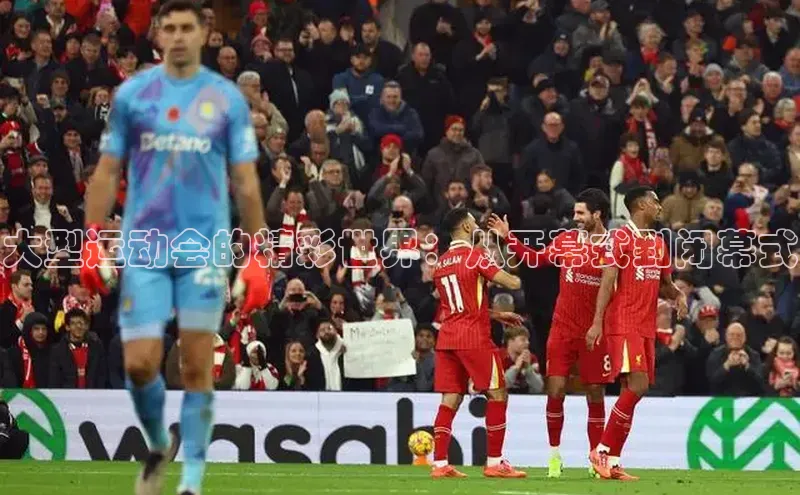 熊猫体育手机版下载