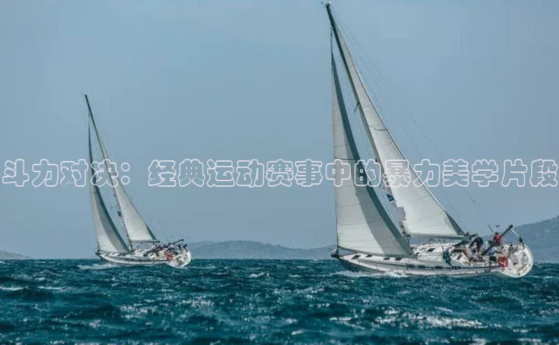 熊猫体育在线直播app