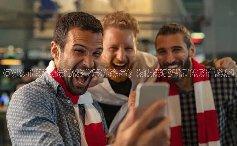 熊猫体育app官方入口