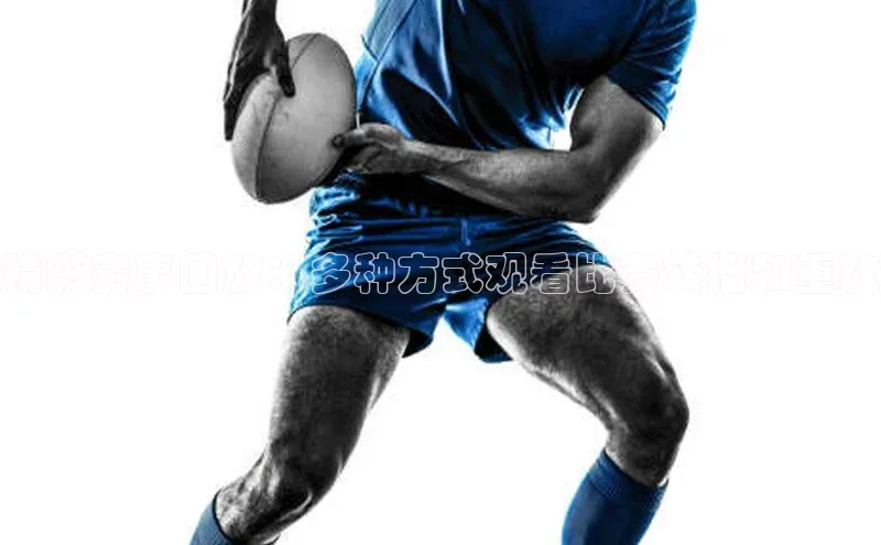 熊猫体育平台官网